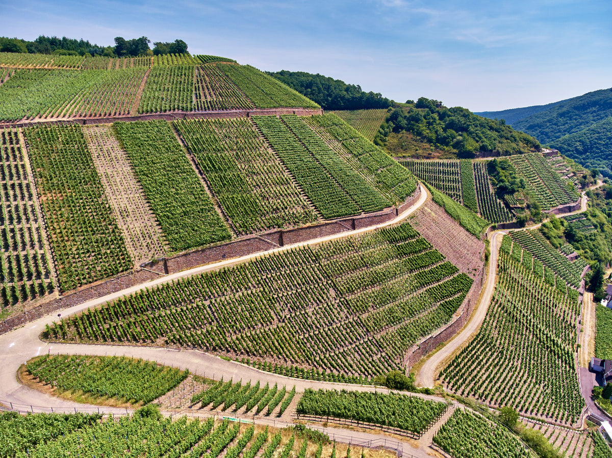 Hardtberg - Dernau