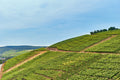 Sonnenberg - Bad Neuenahr