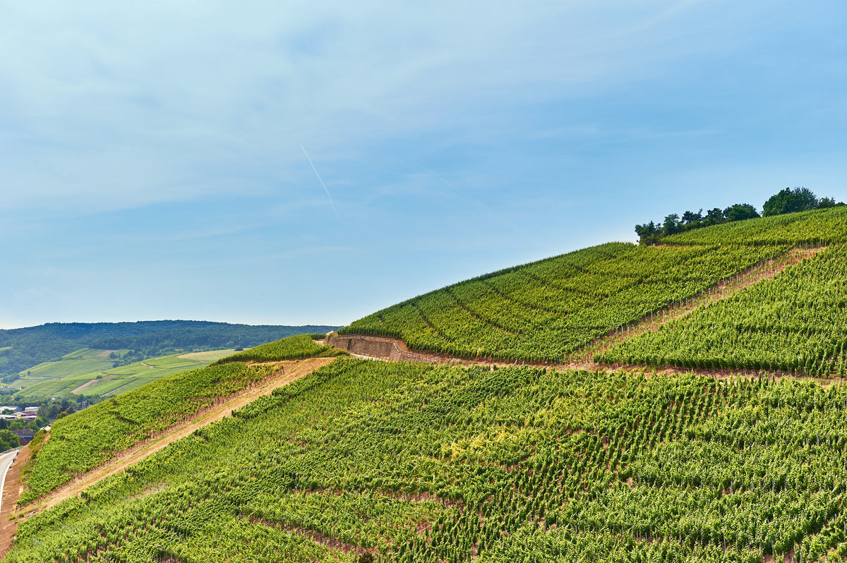 Sonnenberg - Bad Neuenahr